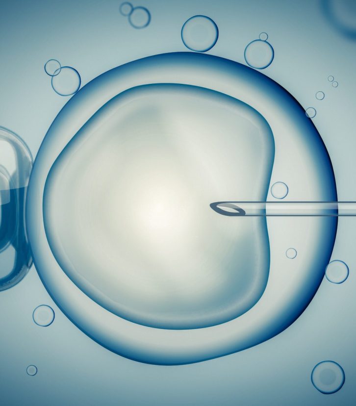 IVF (in vitro fertilisation) or insemination of female egg with microscope. Digital illustration. IVF (in vitro fertilization) or insemination of female egg with microscope. Digital illustration.