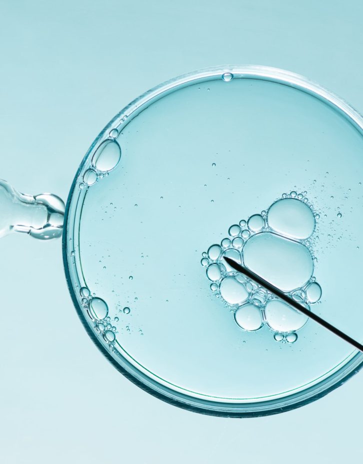 In vitro fertilisation concept. Artificial insemination or fertility treatment macro photography. In vitro fertilisation concept. Artificial insemination or fertility treatment macro photography.